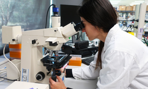 Priscila Cardoso Microscope