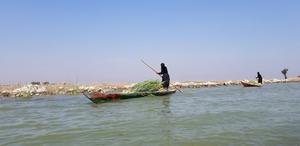 Iraqi Marsh Arabs