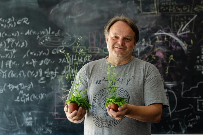 ISTA professor Jiří Friml with two arapidopsis plants