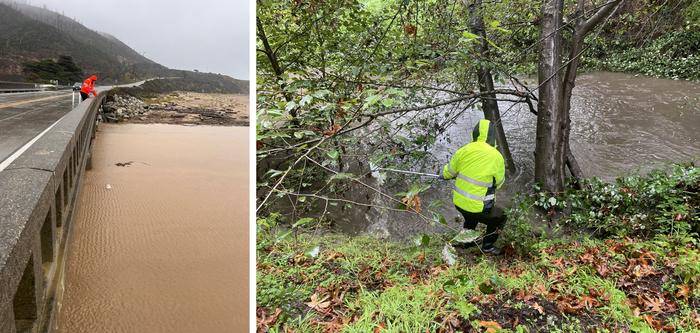 Tire-derived pollutant found at elevated levels in critical fish habitats