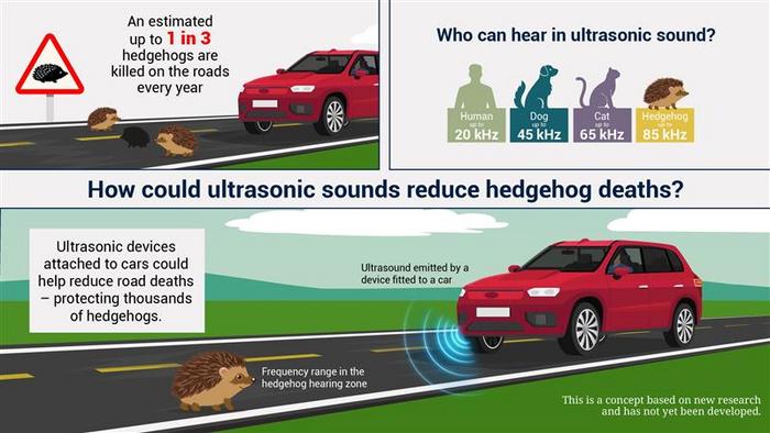 Infographic of the study's findings.