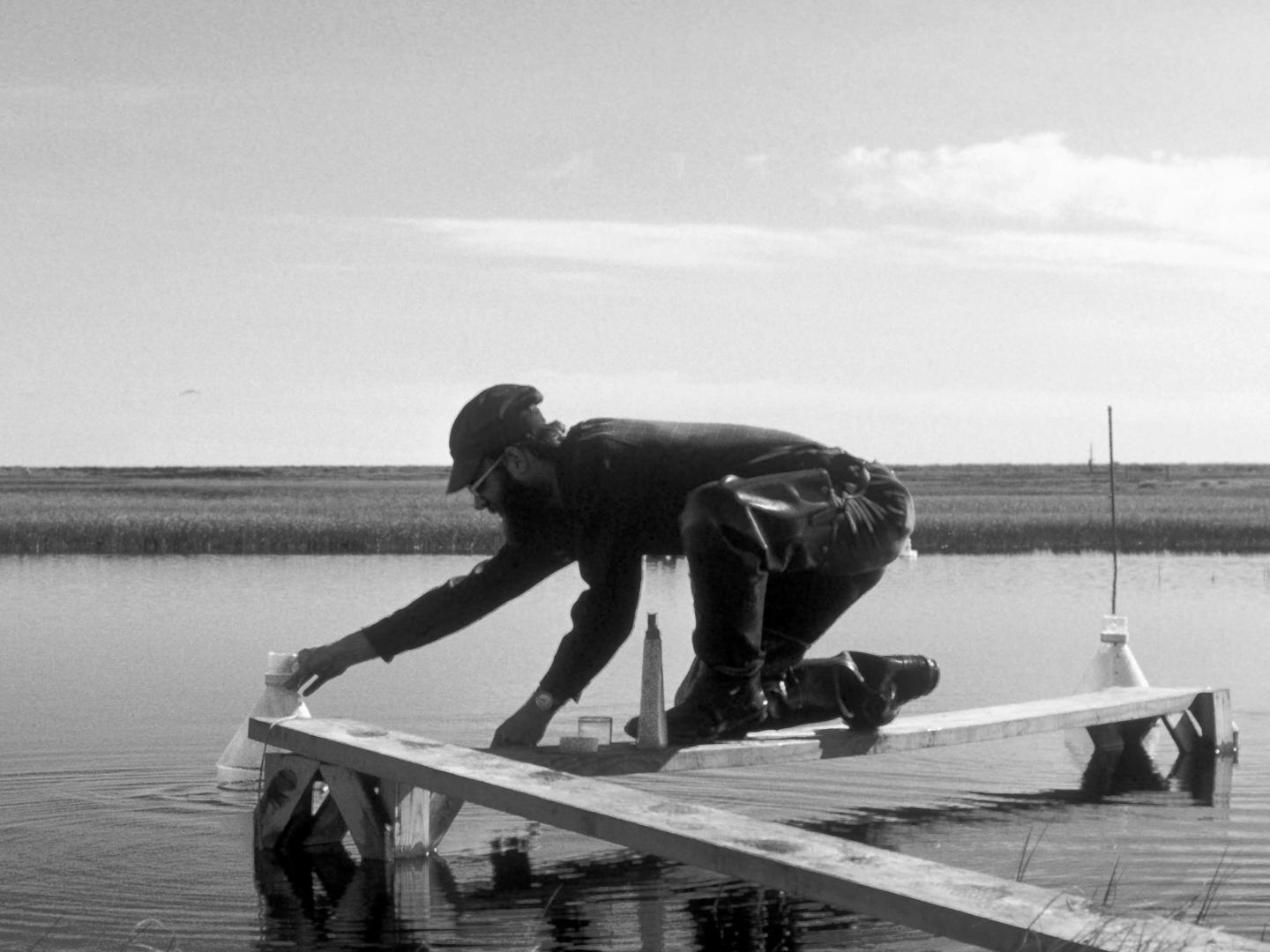 Arctic Pond 1976