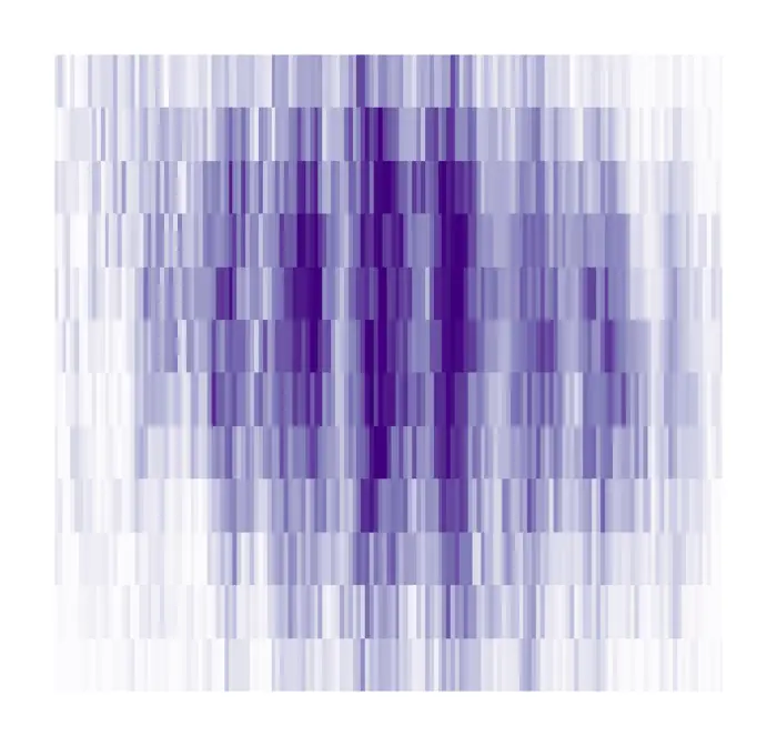 image of the in situ density profile of the cloud of potassium atoms measured with matter-wave optics
