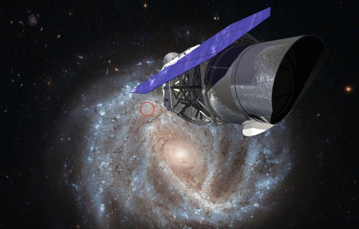 WFIRST and Type Ia Supernovae
