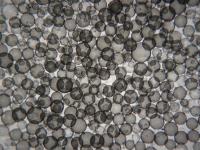 Micrograph