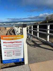 Thousands of marine life killed in algal bloom
