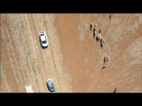 Herding Sheep Really Are Selfish (2 of 2)