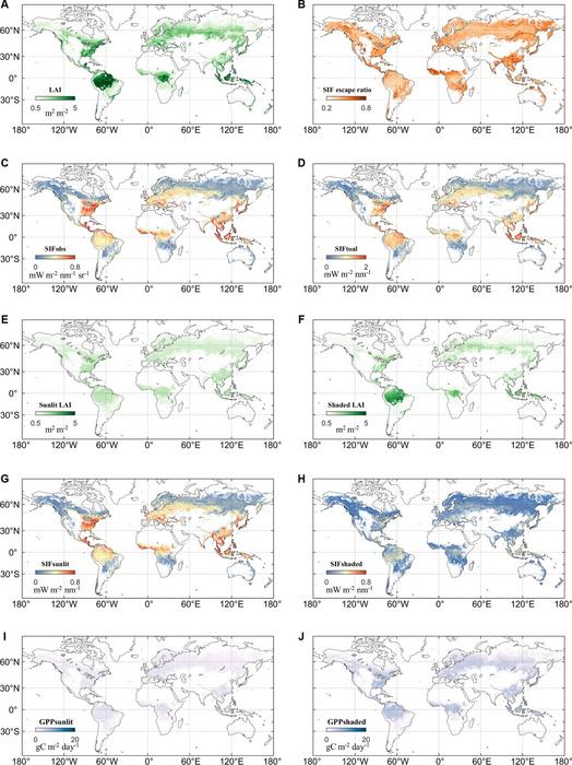 Spatial patterns of key SIF GPP parameters across the globe in the 2020 growing season.