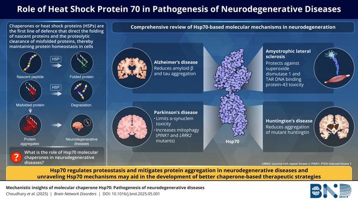 Mechanistic overview of molecular chaperones in the pathogenesis of neurodegenerative diseases