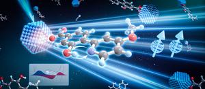 Researchers discover new proton-coupled triplet energy transfer mechanism