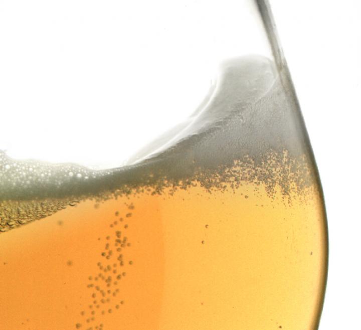 Sloshing Foam in Beer