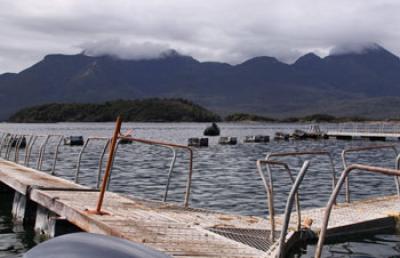 Salmon Farm