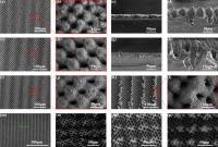 Scanning Electron Microscope (SEM) Image of Patterned Hierarchical Structures