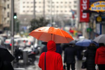 Rainfall Trends
