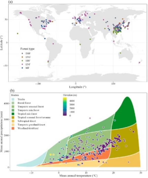 Geographical locations of experimental sites from 382 articles in the global forest soil Q10 dataset.