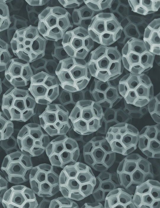 brochosomes produced by leafhopper