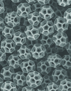 brochosomes produced by leafhopper