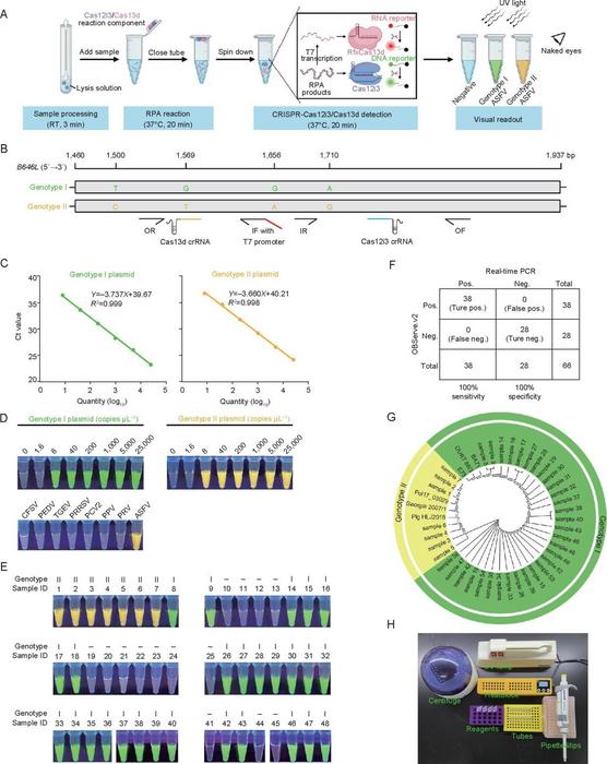 Fig. 1. The establishment and evaluation of OBServe.v2.
