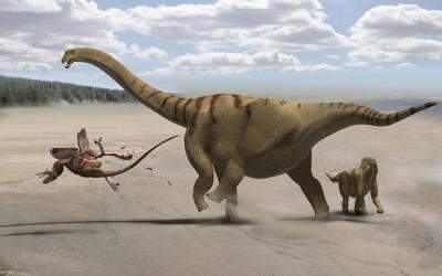 A Life Restoration of <I>Brontomerus mcintonshi</I>