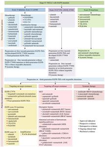 Treatment Algorithm for Stage IV NSCLC Patients