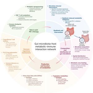 Gut microbiota–host metabolic–immune interaction network.
