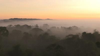 Sunrise over the Amazon