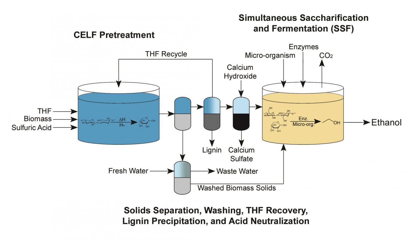 CELF Process Diagram