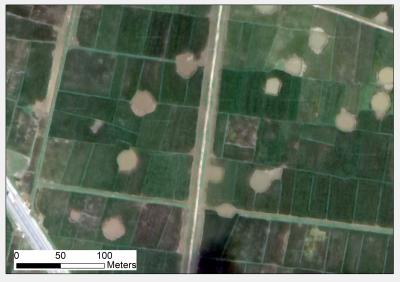 Photo of bomb craters converted into fish ponds in Vietnam, 2015_Photo by Mihai Daniel Nita