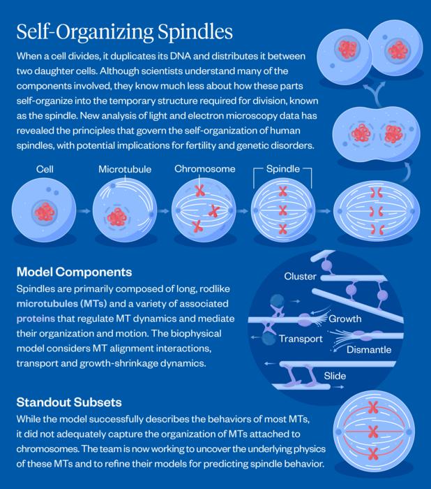 Spindles Graphic