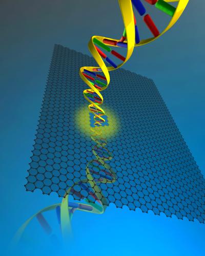 Graphene with Nanopore