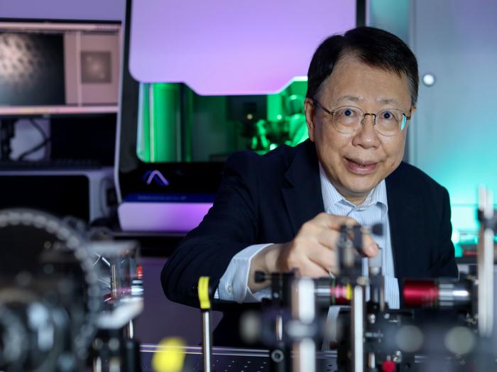 Professor Tsai Din-ping