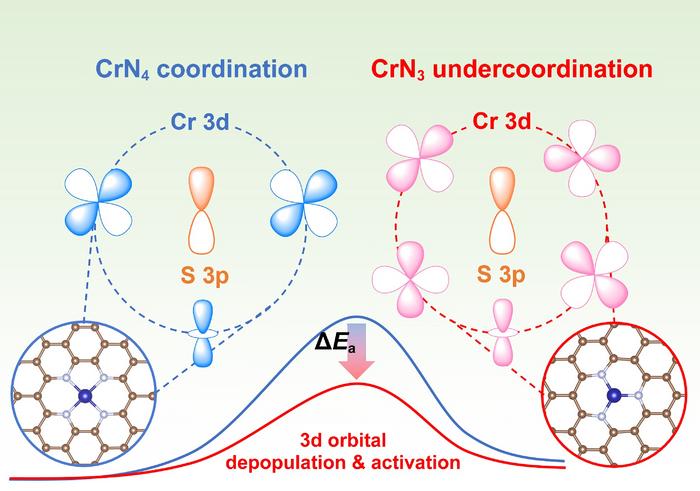 Undercoordination engineering of chromium single-atom catalyst with optimized d-p hybridization for lithium-sulfur batteries