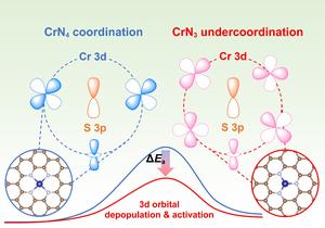 Undercoordination engineering of chromium single-atom catalyst with optimized d-p hybridization for lithium-sulfur batteries