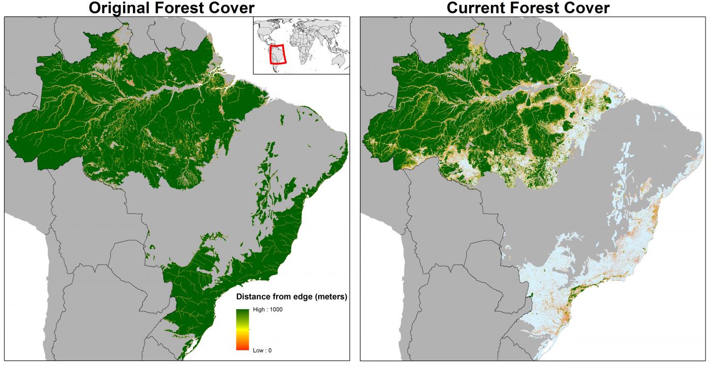 World's Forests at Risk for Habitat Destruction (6 of 9)