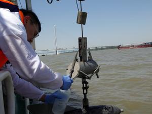 Assessing fish biodiversity using eDNA