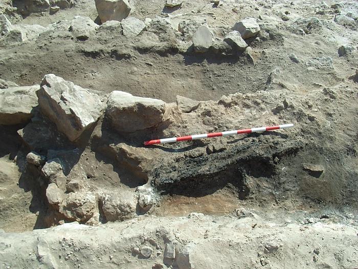 Wooden remains of the loom