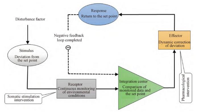 Schematic diagram of the negative feedback regulatory loop of homeostasis.
