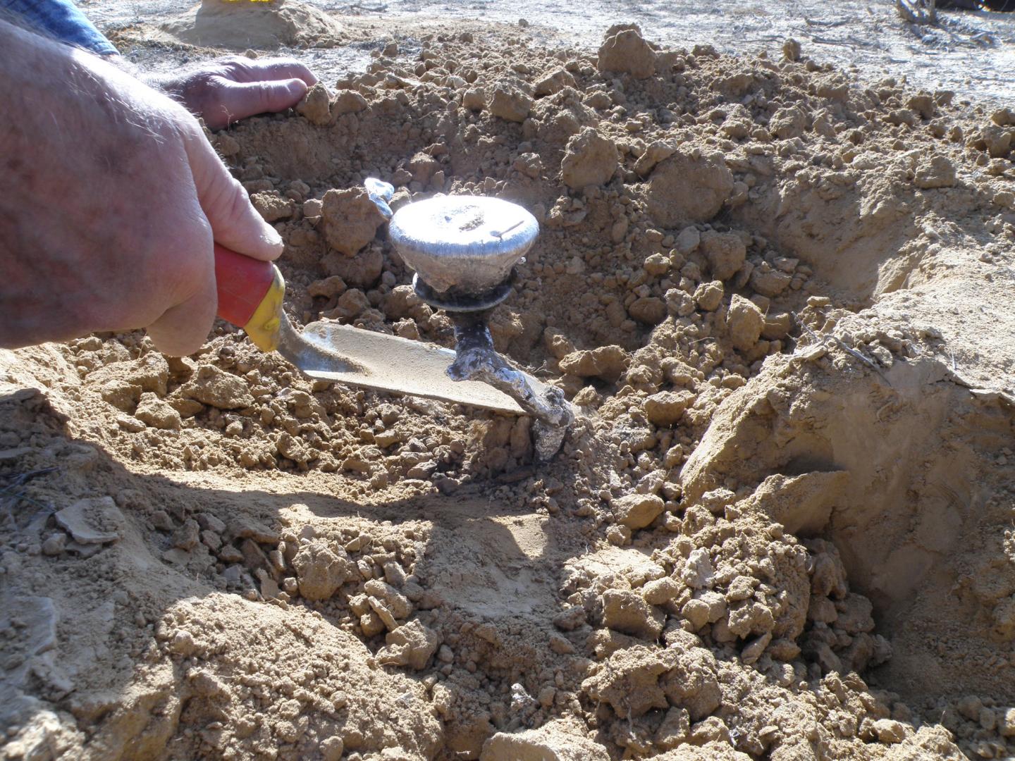 Digging Burrow Cast