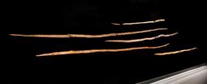 Ancient Wooden Weapons