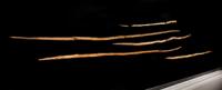 Ancient Wooden Weapons