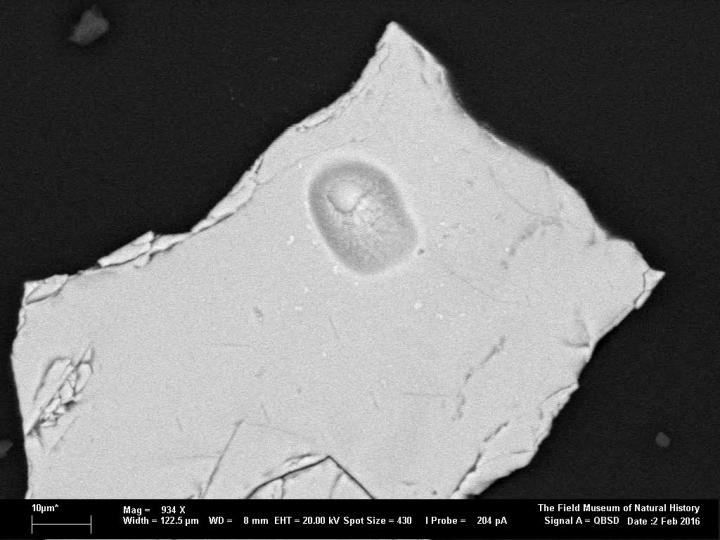Microscope View of Chrome Spinel