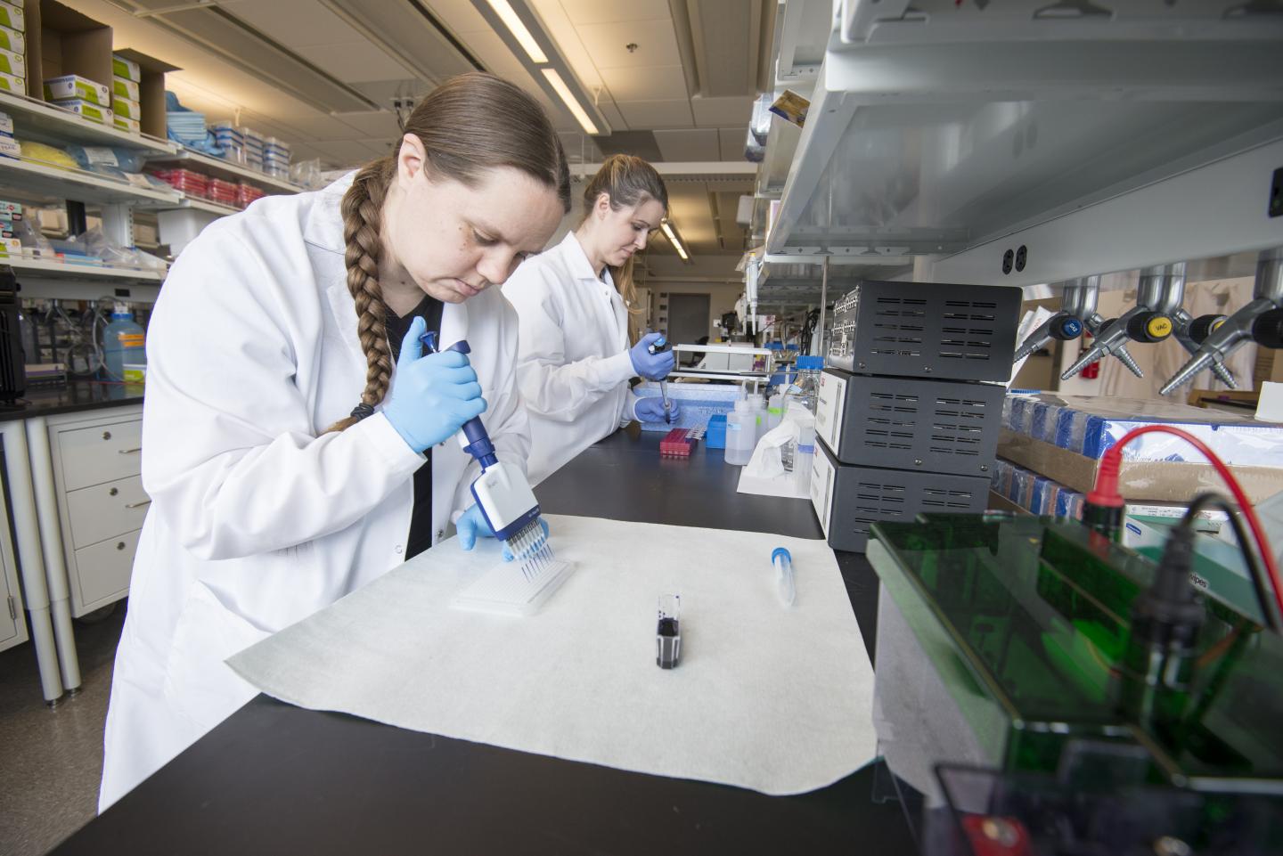Hannah Schoch and Ashley Ingiosi in Peixoto Lab