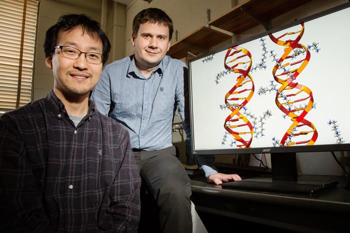Aksimentiev and Yoo, University of Illinois at Urbana-Champaign