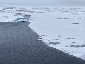 Life on the Arctic Ocean sea ice