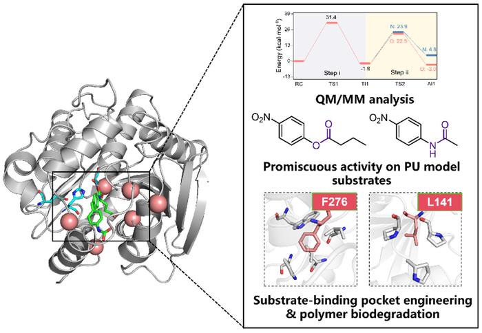 Mechanistic insights into urethane bond hydrolysis by esterase Aes72 and protein engineering