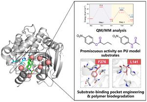 Mechanistic insights into urethane bond hydrolysis by esterase Aes72 and protein engineering