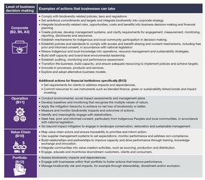 Examples of actions business can take