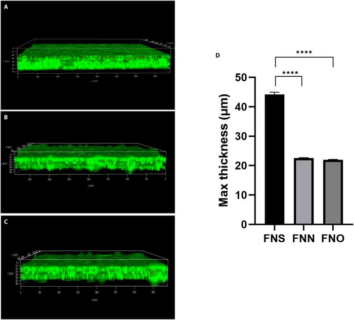 Fig. 3. Biofilm formation ability via confocal laser-scanning microscopy (CLSM).