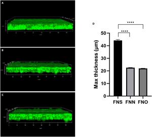 Fig. 3. Biofilm formation ability via confocal laser-scanning microscopy (CLSM).