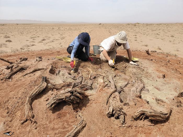 Excavation at G05 at area